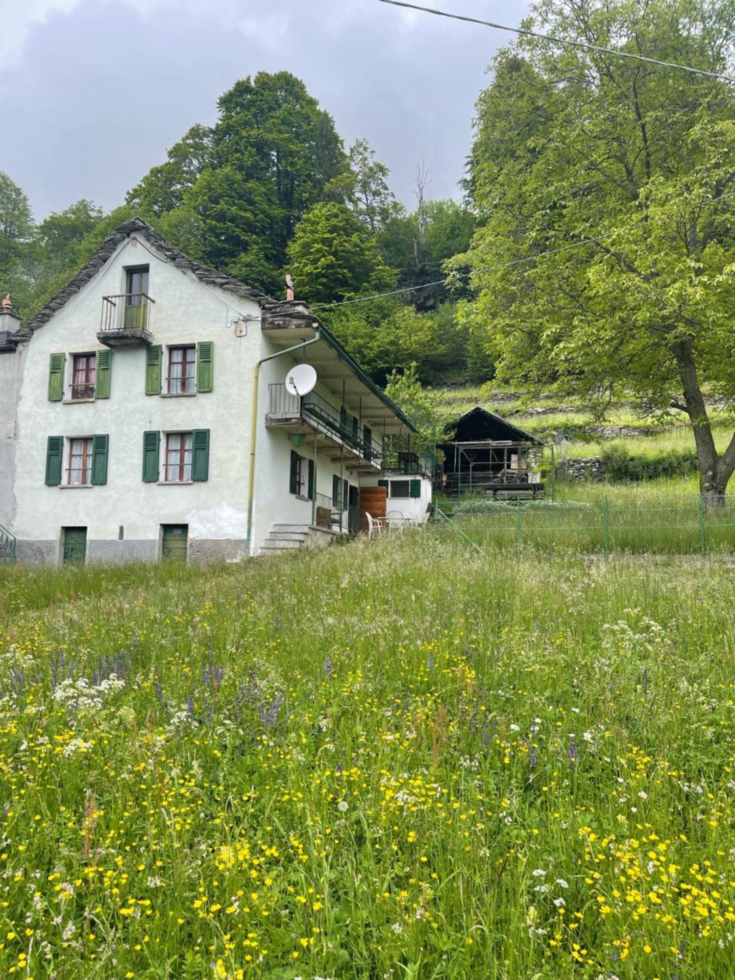 La Casa Di Sissy Apartman Trasquera Kültér fotó